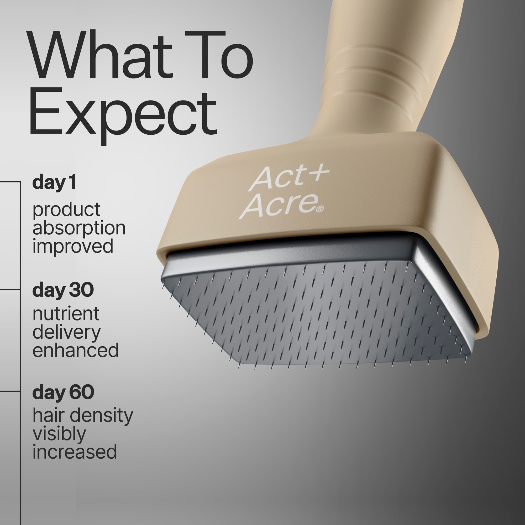 Infographic describing results timeline when using Act+ Acre Dermastamp